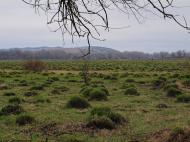 Пришиб з panoramio.com