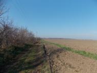 Карабелівка з panoramio.com