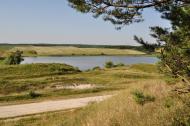 Матвіївці з panoramio.com