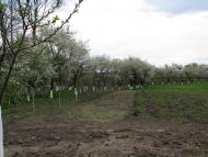 Станівці з panoramio.com