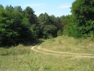 Стуфчинці з panoramio.com