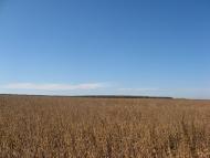 Сербичани з panoramio.com