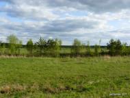 Бучмани з panoramio.com