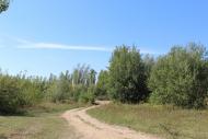 Дерешова з panoramio.com