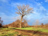 Великомар'янівка з panoramio.com