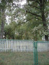 Память детства