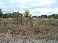 Память детства