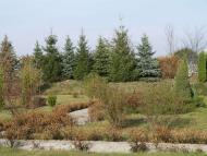 ПАЛАЦ  ВОРОНІНА