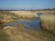 Моя родина с.Полковое