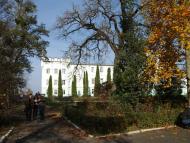 ПАЛАЦ  ВОРОНІНА