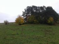 Вища Кропивна з panoramio.com