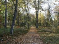 ПАЛАЦ  ВОРОНІНА