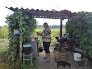 Память детства