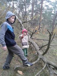 Вища Кропивна з panoramio.com