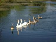 Мальовничі куточки рідного міста.