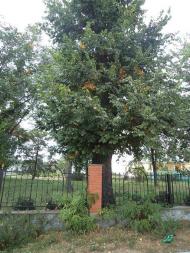 Білка - Останні фото