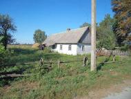 Память детства