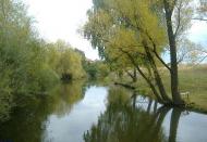 Мальовничі куточки рідного міста.