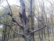 Вища Кропивна з panoramio.com