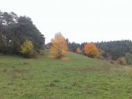 Вища Кропивна з panoramio.com