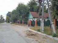 Память детства