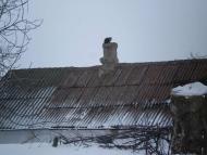 Моя родина с.Полковое