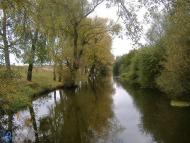 Мальовничі куточки рідного міста.