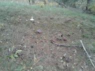 Вища Кропивна з panoramio.com