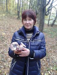 Вища Кропивна з panoramio.com