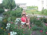 Будеївський ліцей (школа)