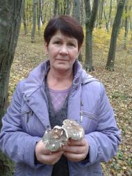 Вища Кропивна з panoramio.com