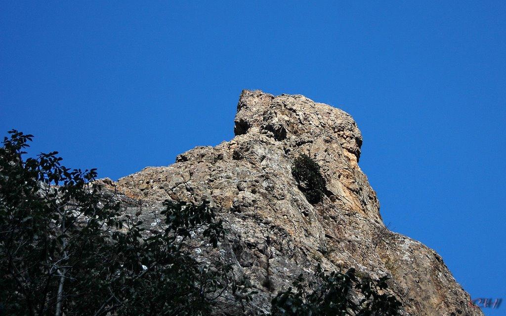 Зеленогір'я з panoramio.com - Зеленогір'я