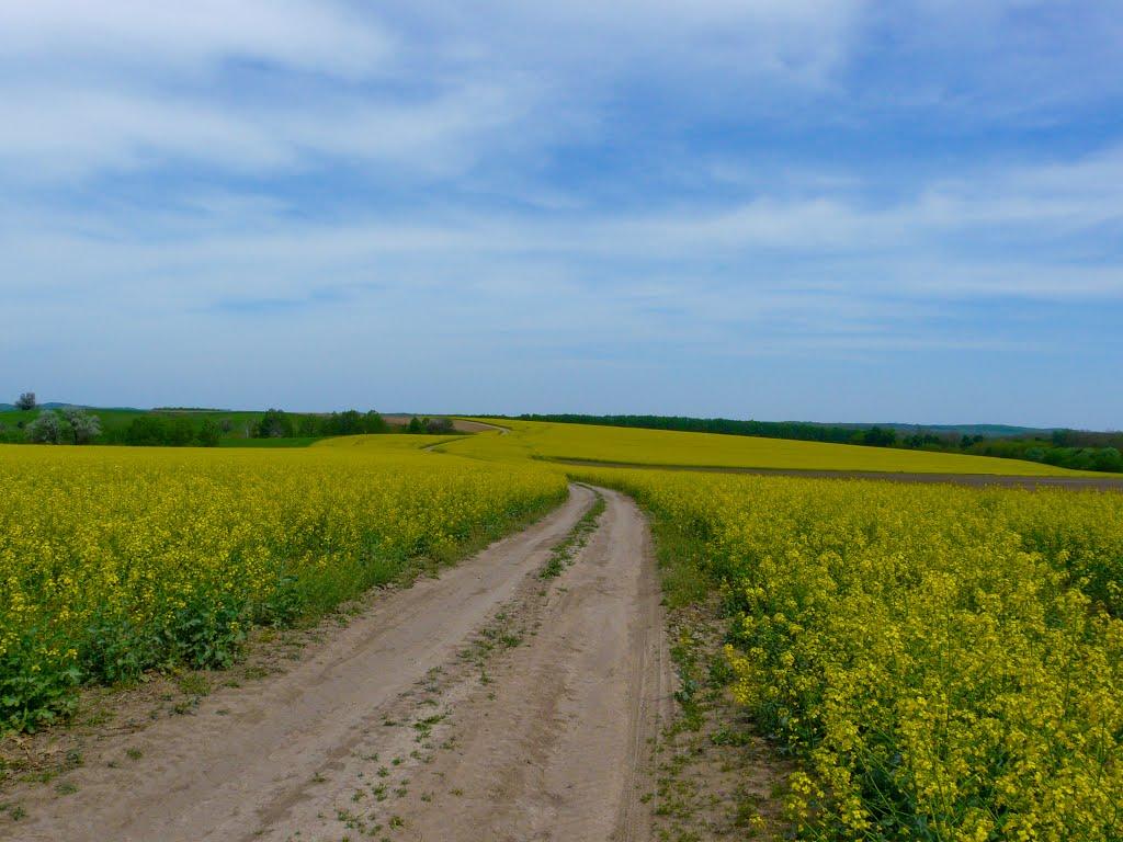 Малий Букрин з panoramio.com - Малый Букрин