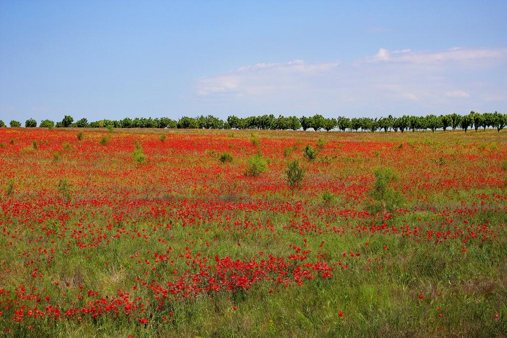 Углове з panoramio.com - Углове