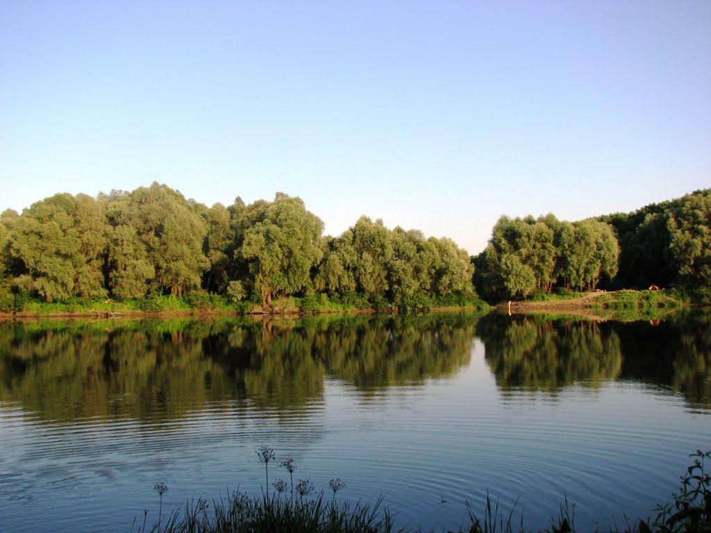 Шестовиця з panoramio.com - Шестовица