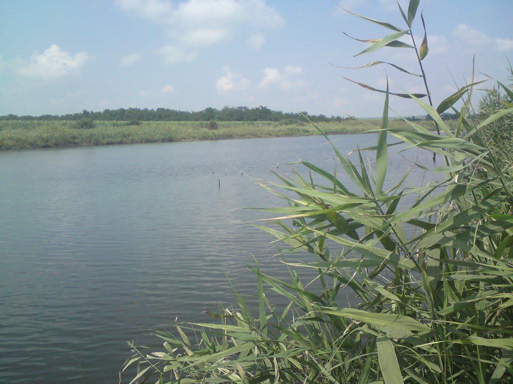 Олександрівка з panoramio.com - Олександрівка