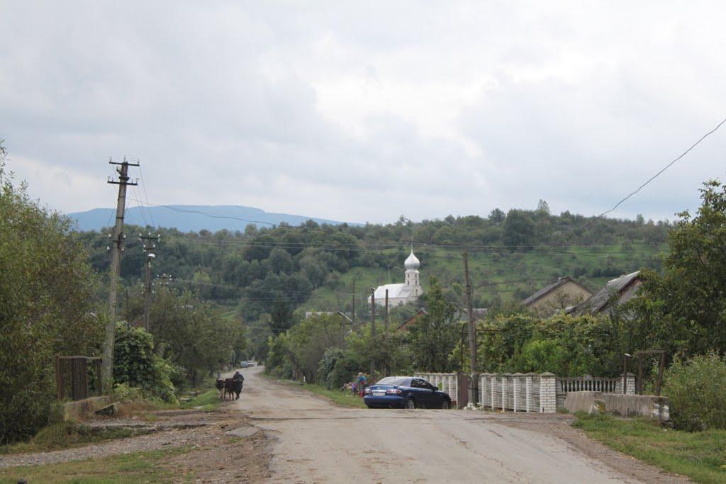 Буштино з panoramio.com - Буштыно