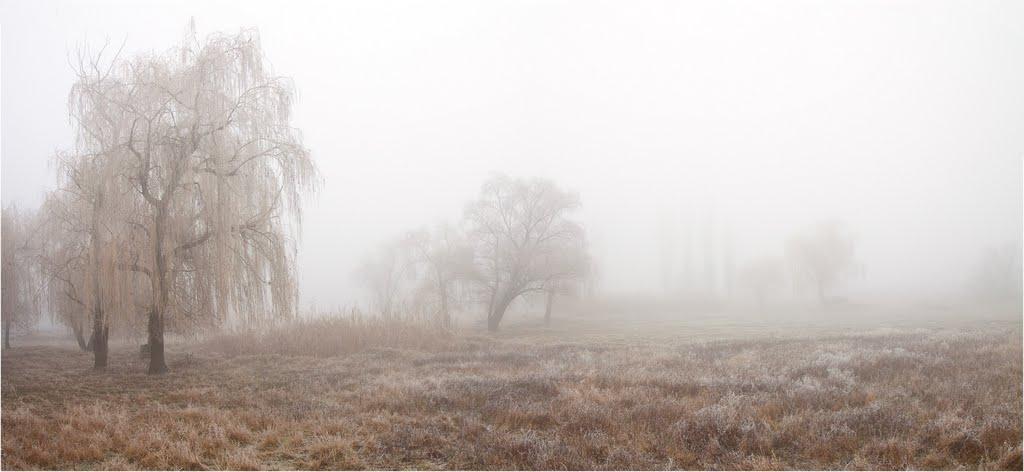 Тельманове з panoramio.com - Тельманово