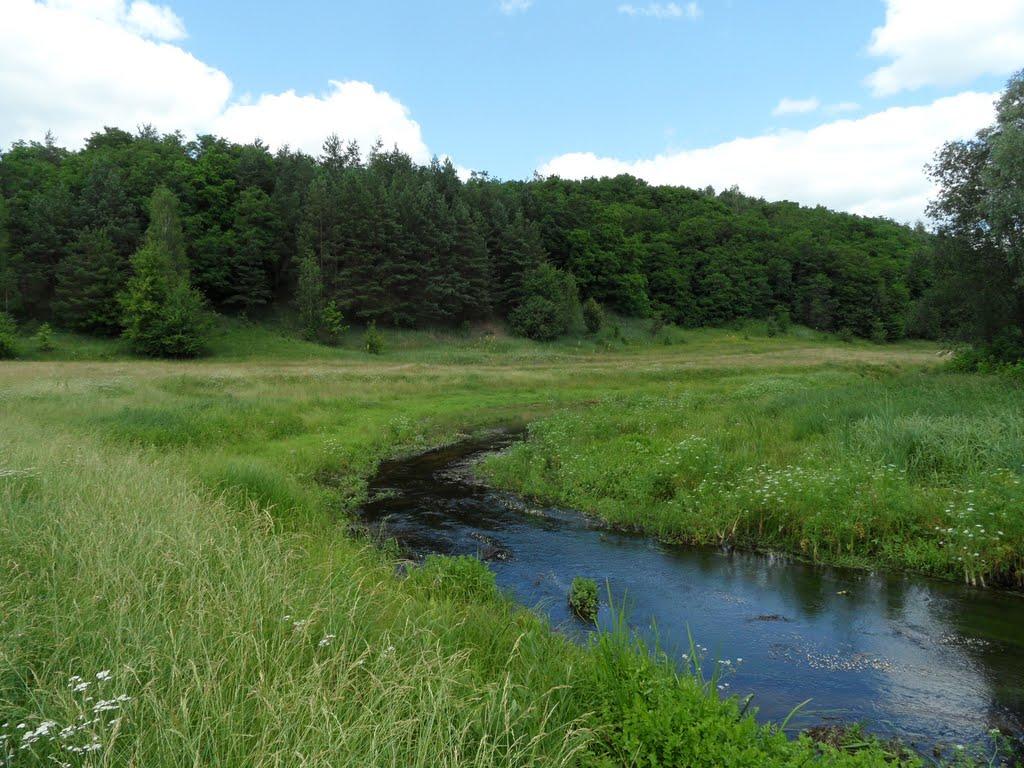 Литовка з panoramio.com - Литовка