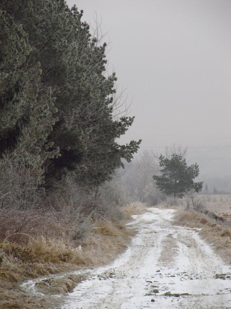 Солотвин з panoramio.com - Солотвин