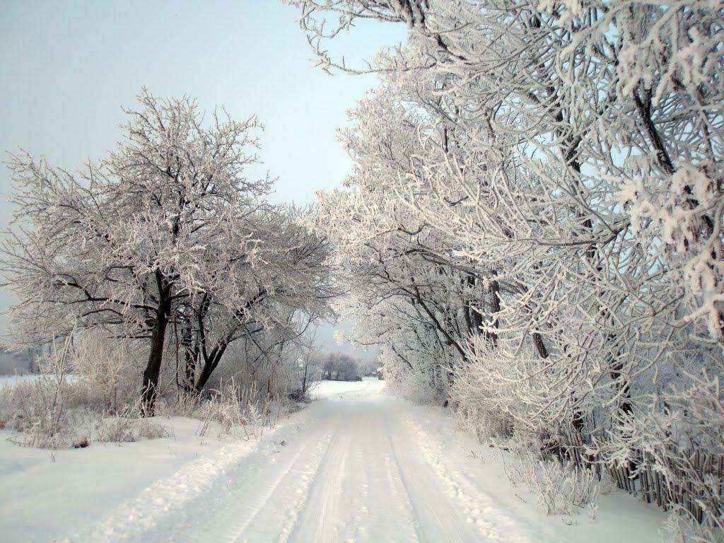 Могилів з panoramio.com - Могилев