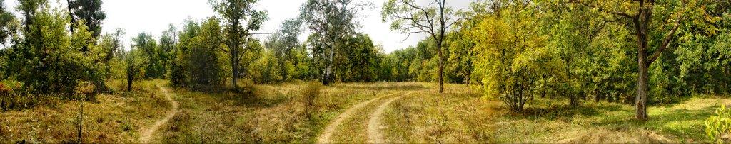 Букине з panoramio.com - Букине