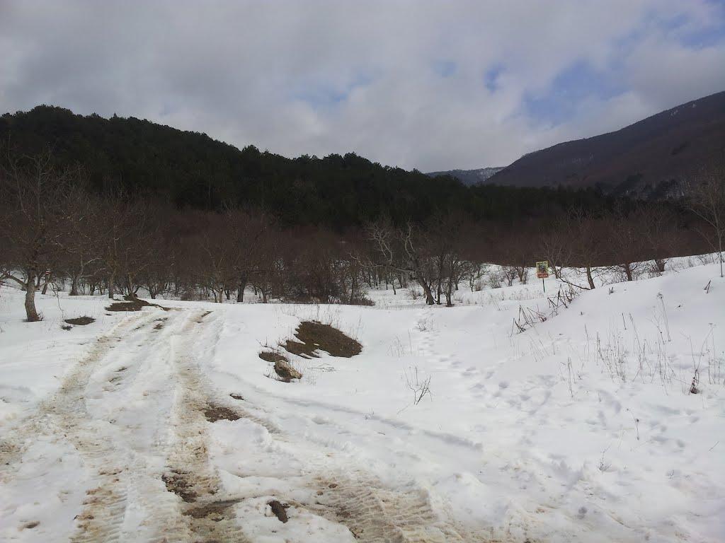 Многоріччя з panoramio.com - Многоріччя