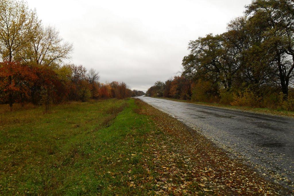 Греблі з panoramio.com - Греблі