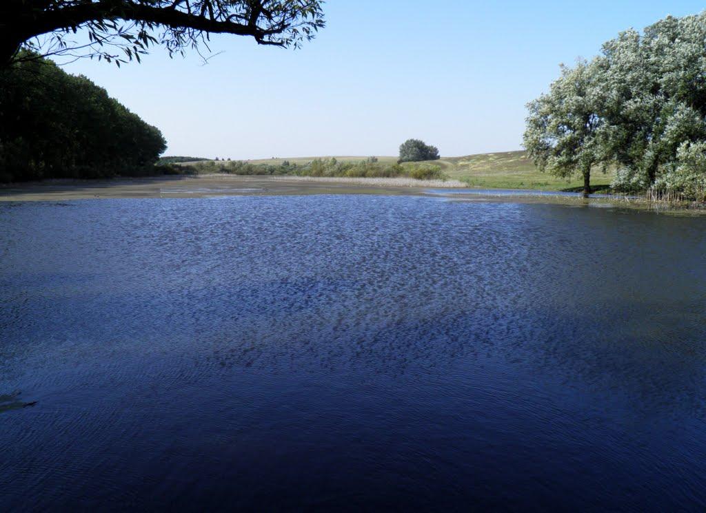 Воютин з panoramio.com - Воютин