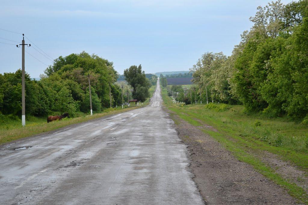 Стара Гута з panoramio.com - Стара Гута