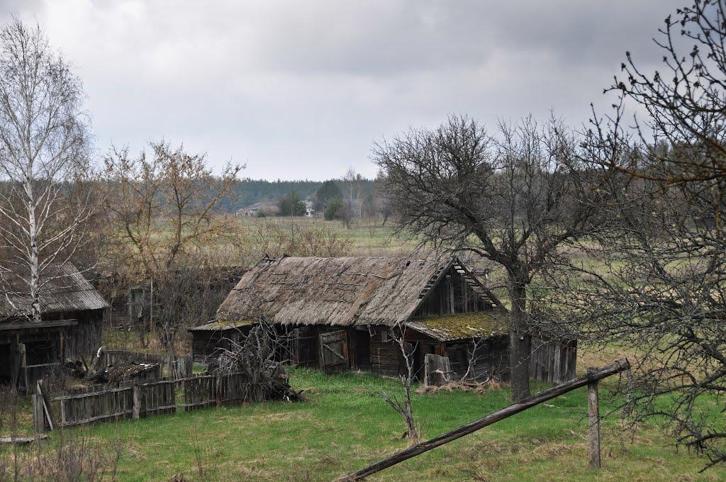Карпилівка з panoramio.com - Карпиловка