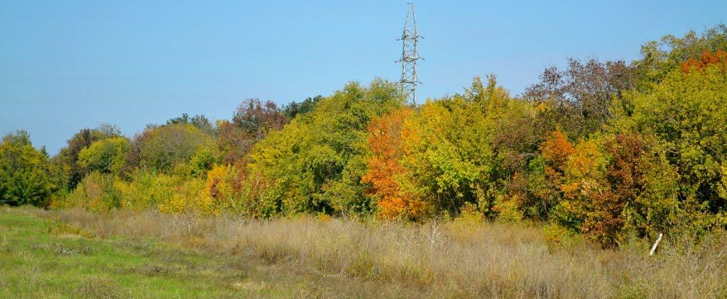 Роздільна з panoramio.com - Роздільна