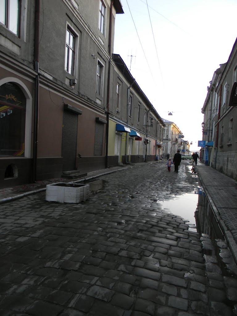 Бережани з panoramio.com - Бережаны