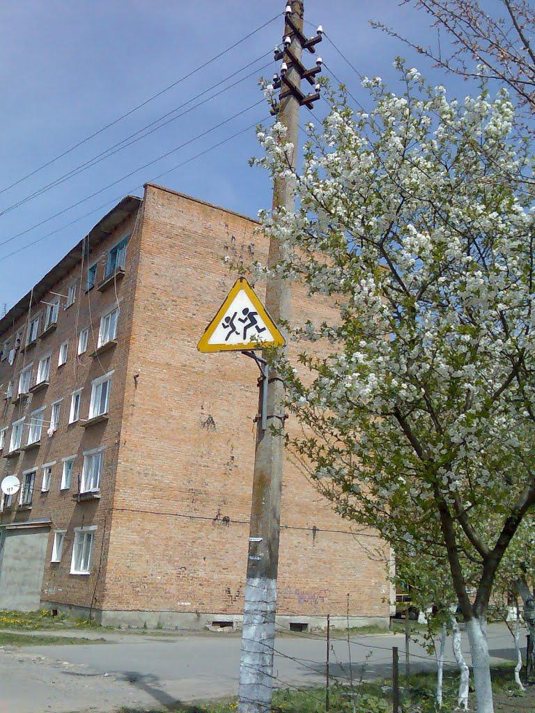 Пашківці з panoramio.com - Пашковцы